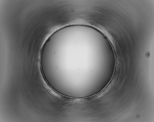 X0000098051390200804111301