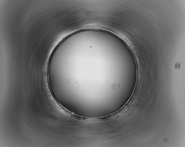 X0000098051392200804111301