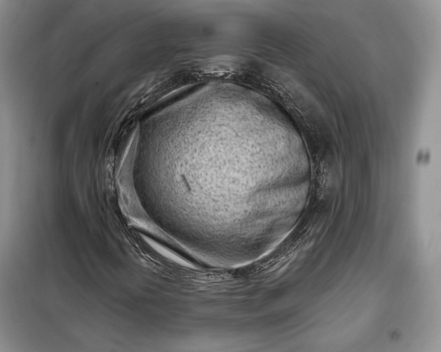 X0000098051394200804111301