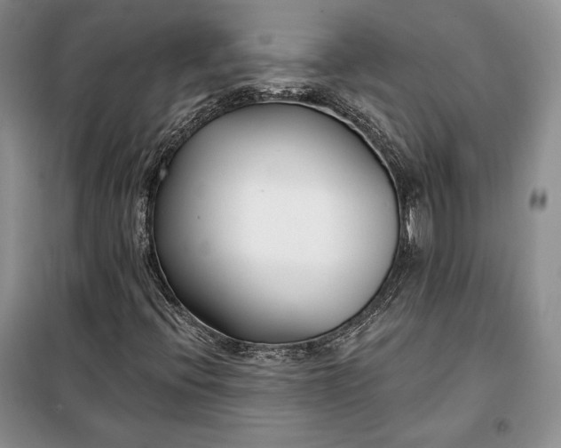 X0000098051396200804111301