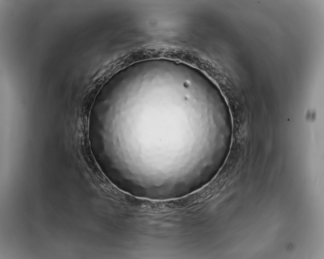 X0000098051397200804111301