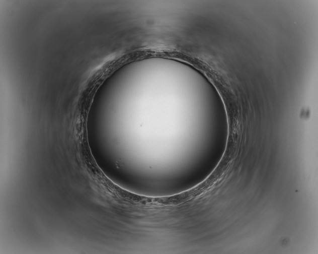 X0000098051398200804111301