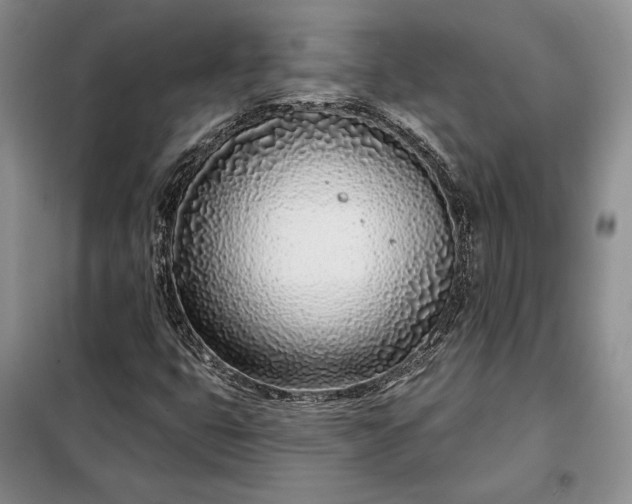 X0000098051399200804111301