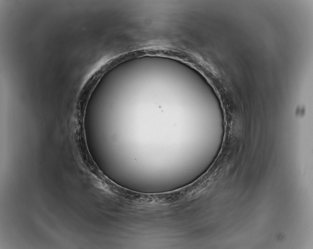 X0000098051400200804111301