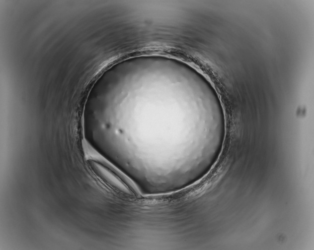 X0000098051401200804111301