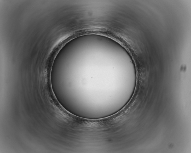 X0000098051402200804111301