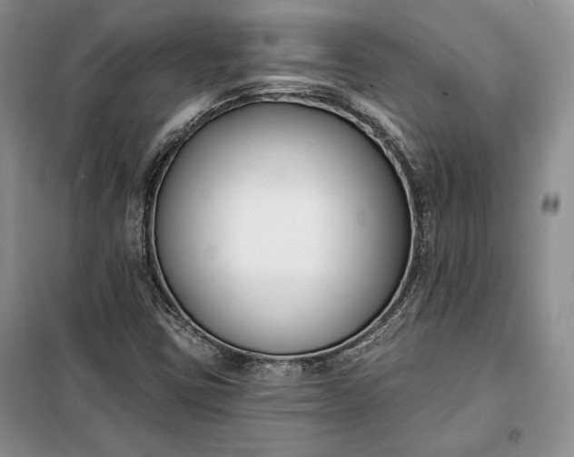 X0000098051403200804111301