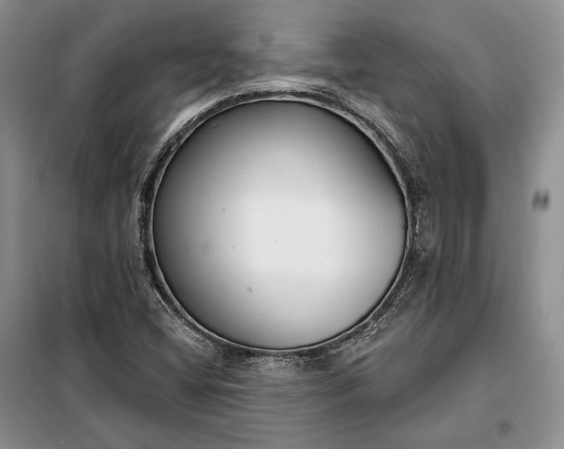 X0000098051404200804111301