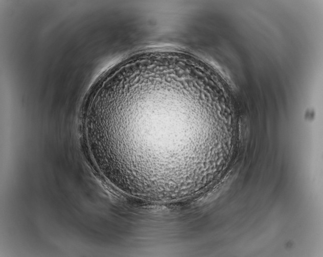 X0000098051405200804111301