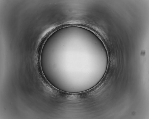 X0000098051406200804111301