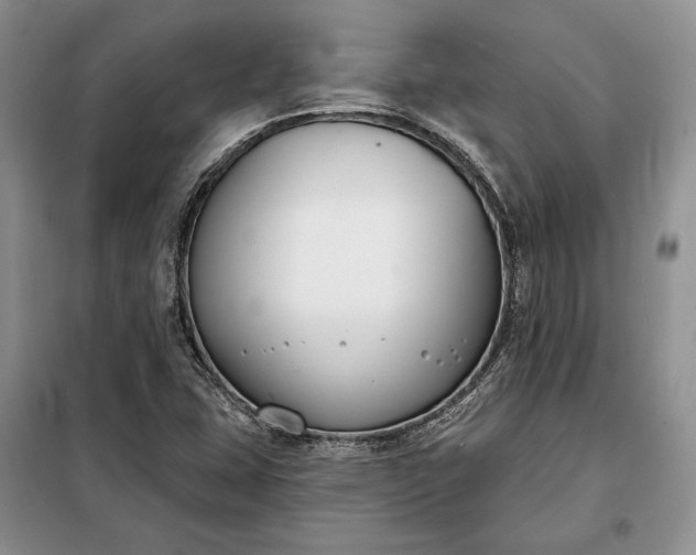 X0000098051407200804111301