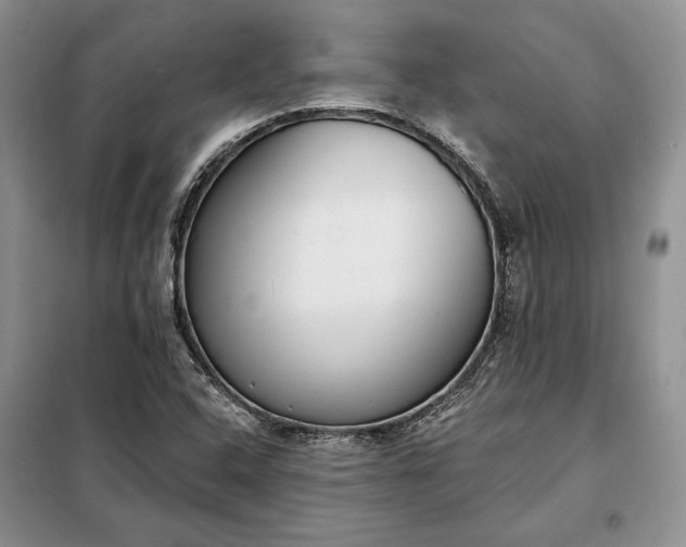 X0000098051408200804111301