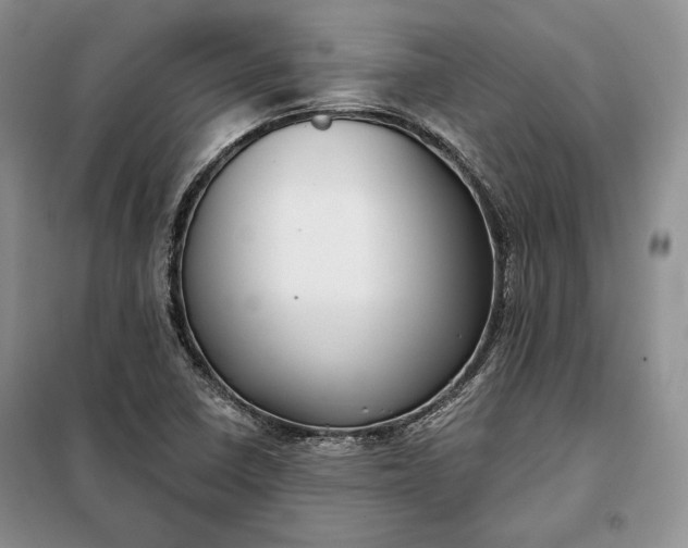 X0000098051410200804111301