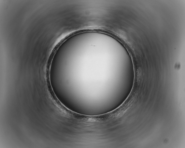 X0000098051412200804111301