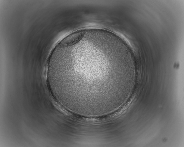 X0000098051413200804111301