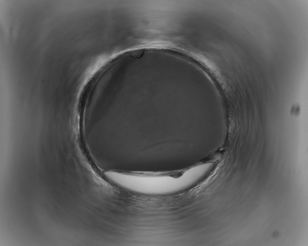 X0000098051414200804111301