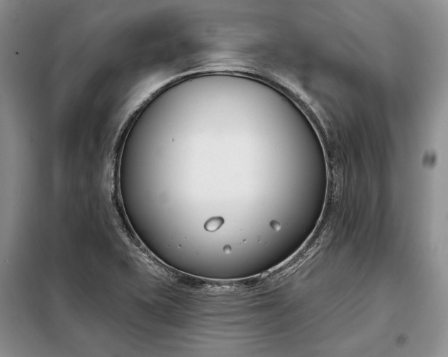 X0000098051415200804111301