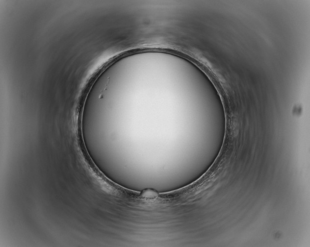 X0000098051416200804111301