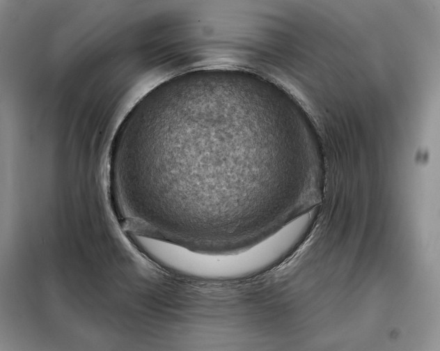 X0000098051418200804111301