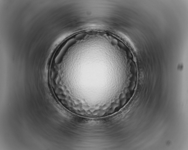 X0000098051419200804111301