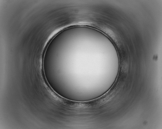 X0000098051420200804111301