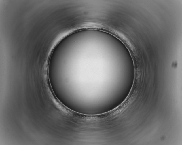 X0000098051421200804111301