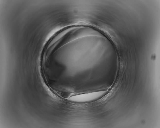 X0000098051422200804111301