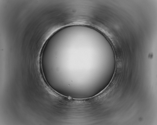 X0000098051423200804111301