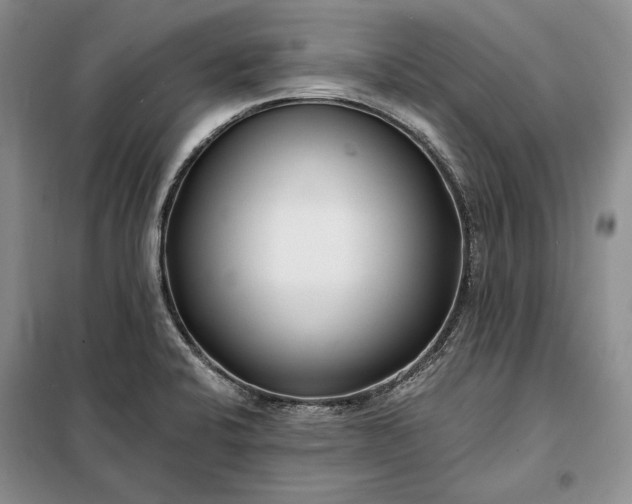 X0000098051424200804111301