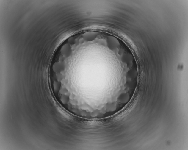 X0000098051425200804111301