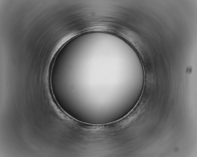 X0000098051426200804111301