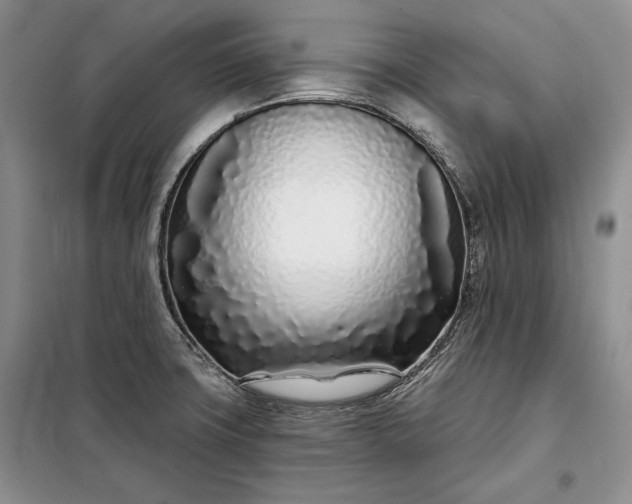 X0000098051427200804111301