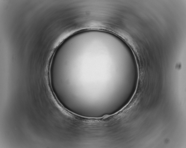 X0000098051429200804111301