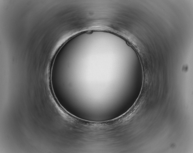 X0000098051430200804111301