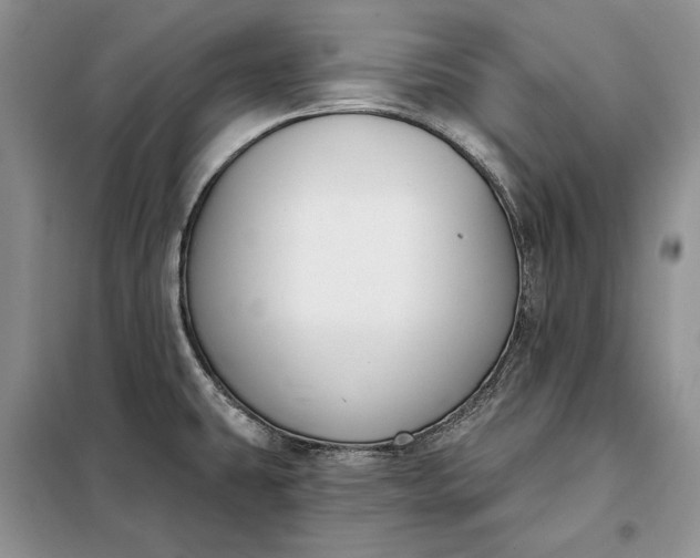 X0000098051431200804111301