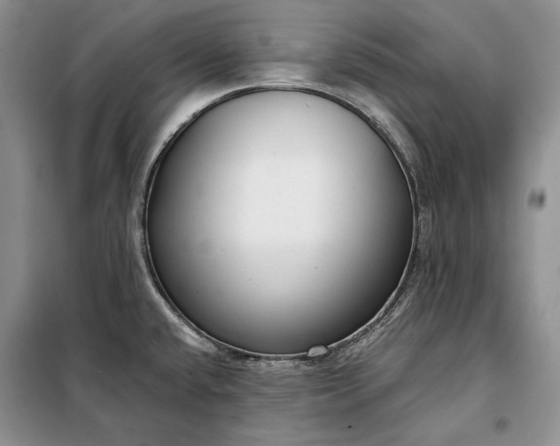 X0000098051432200804111301