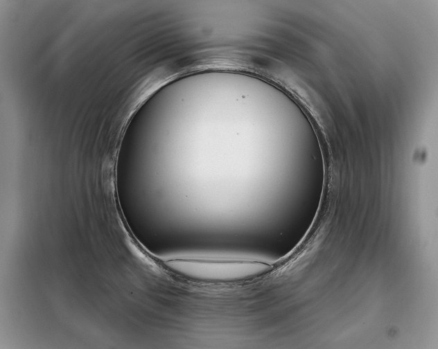 X0000098051433200804111301