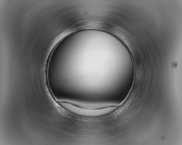 X0000098051434200804111301