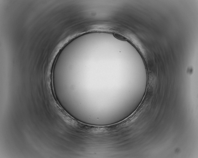 X0000098051435200804111301