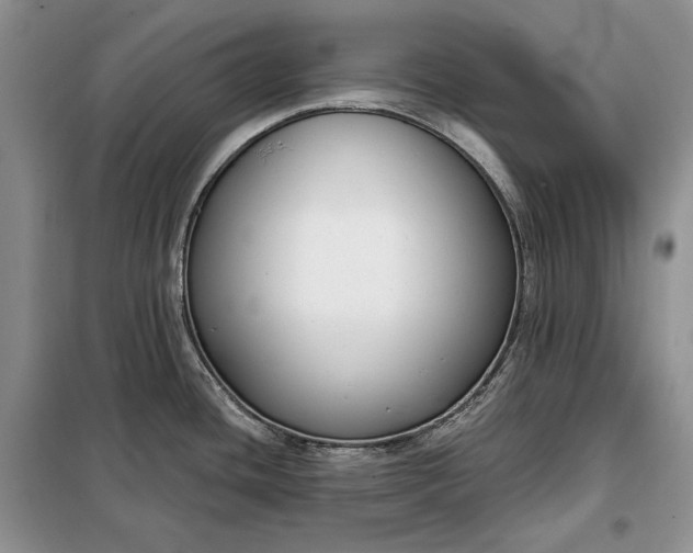 X0000098051436200804111301