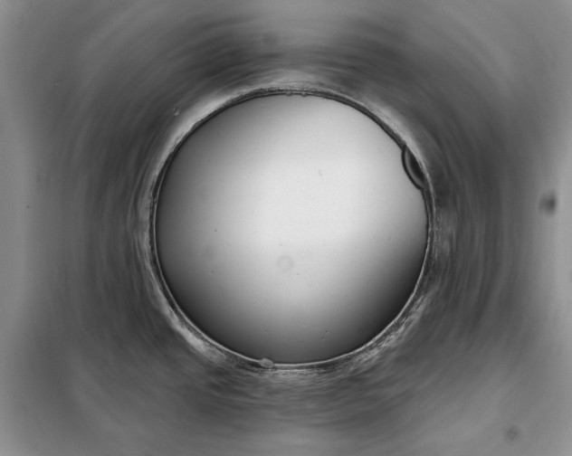 X0000098051437200804111301