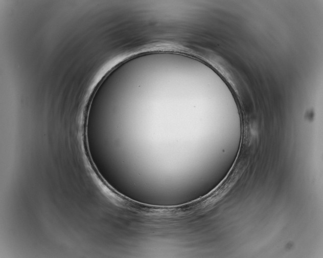 X0000098051438200804111301