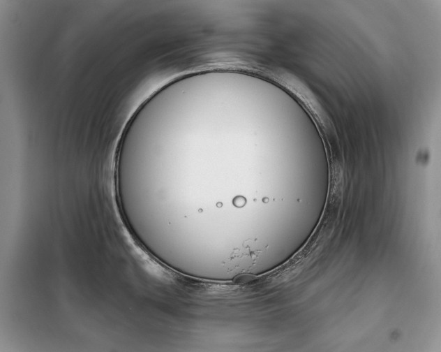 X0000098051439200804111301