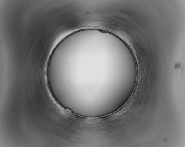 X0000098051440200804111301