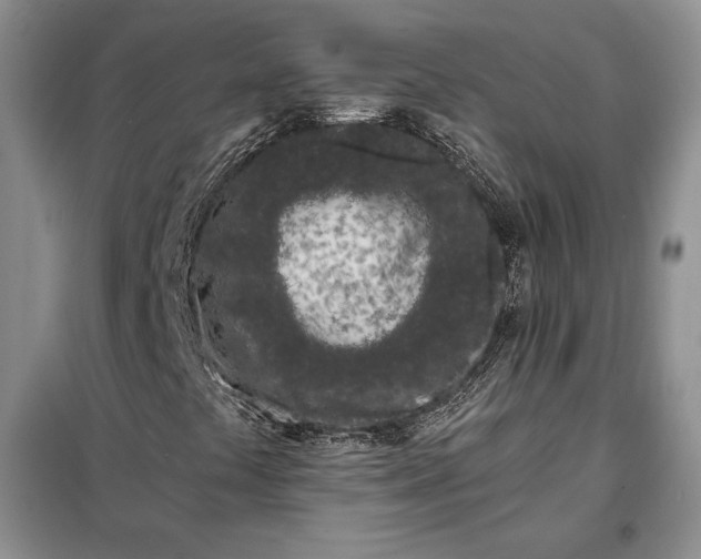 X0000098051441200804111300