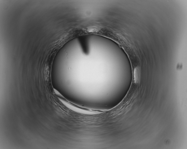 X0000098051443200804111300