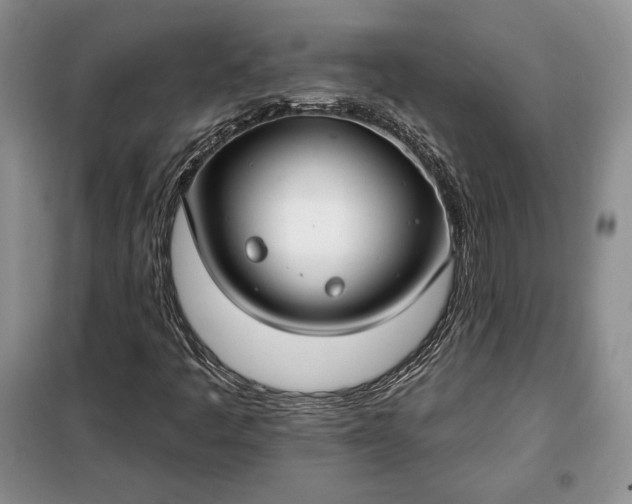 X0000098051445200804111300