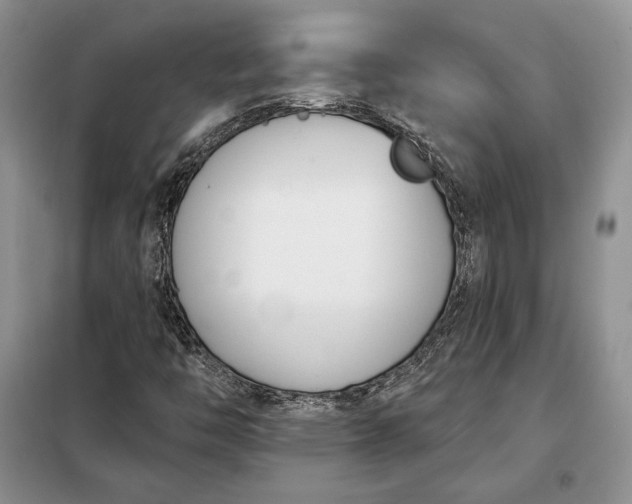 X0000098051446200804111300