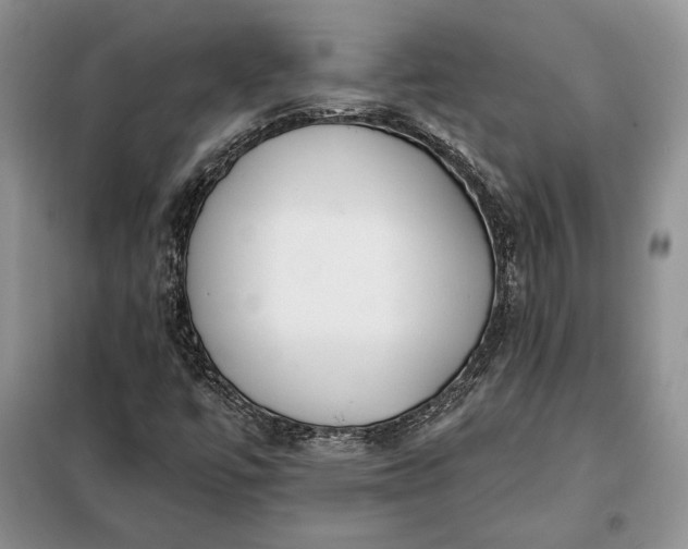 X0000098051447200804111300