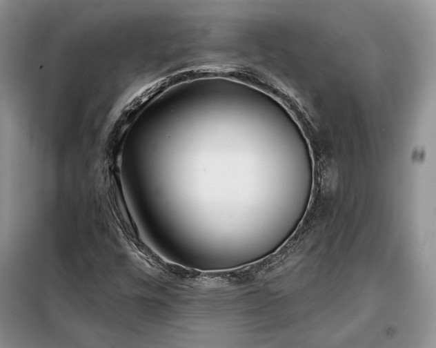 X0000098051448200804111300